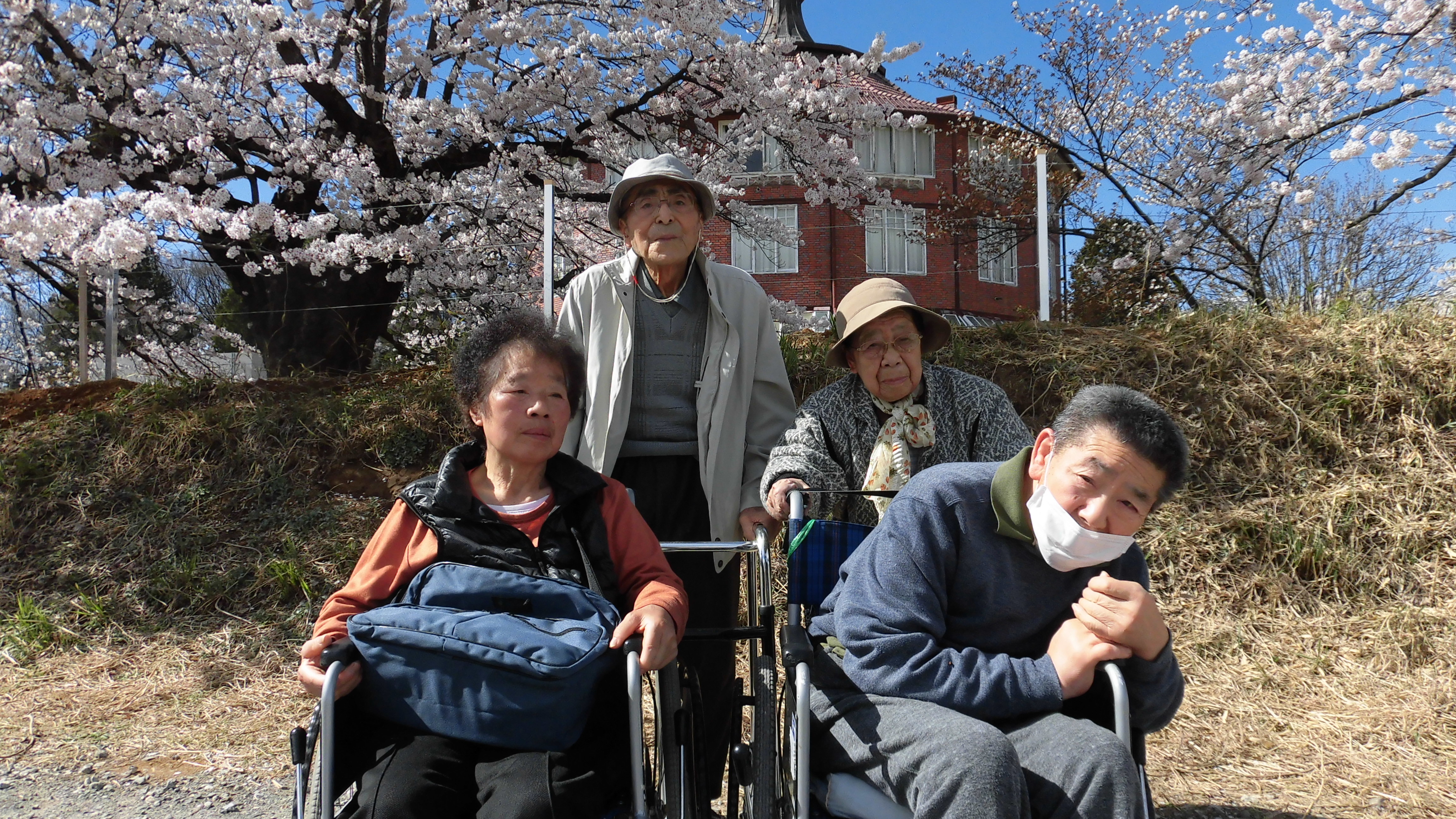 お花見